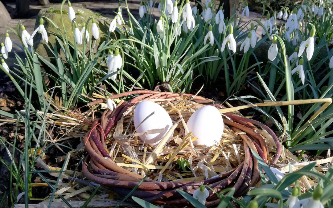 Osterferienfreizeit 2026