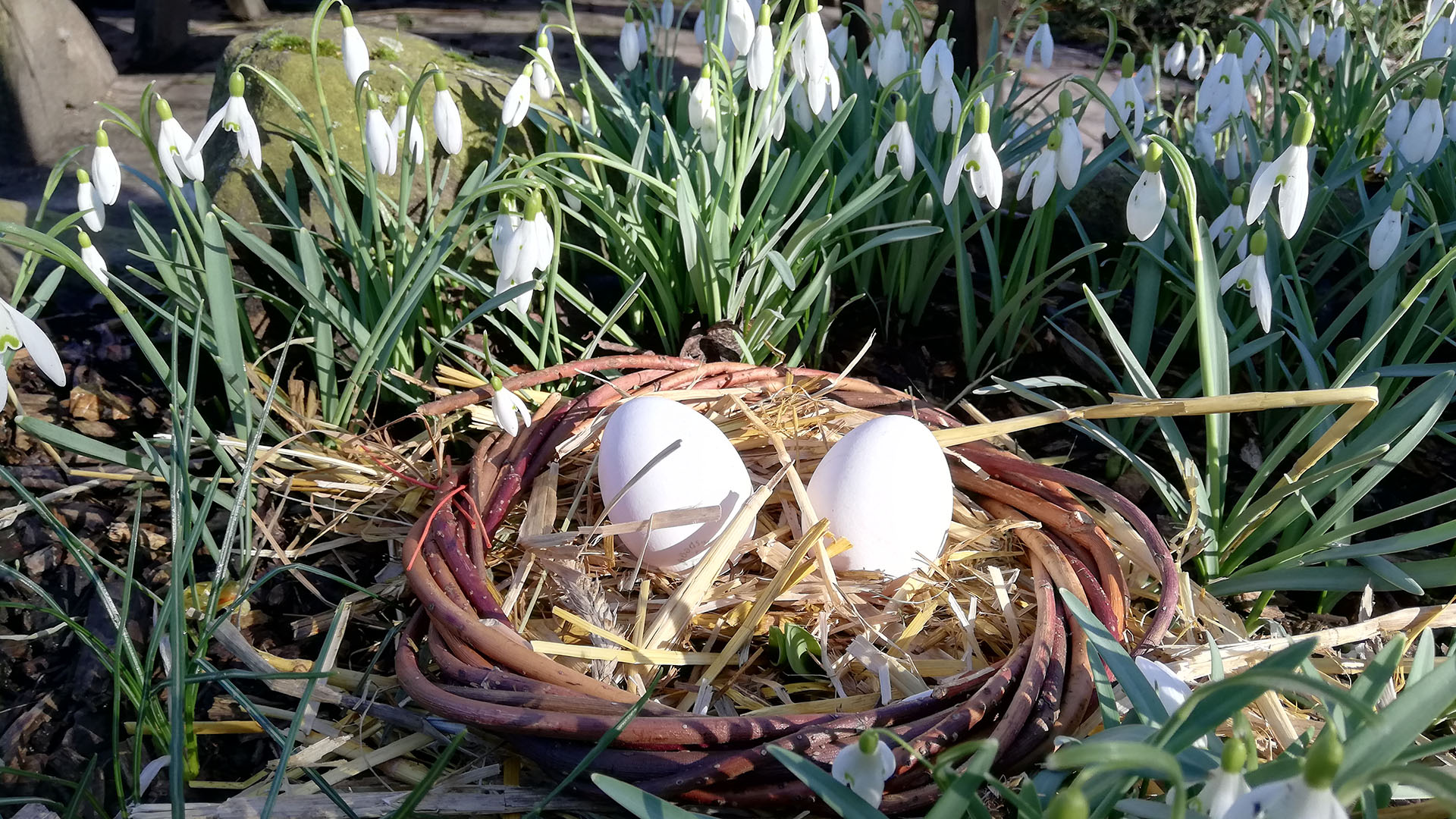 Osternest_1920x1080 Zwei Eier liegen in einem Nest zu Ostern